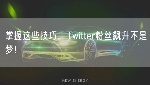 掌握这些技巧，Twitter粉丝飙升不是梦！