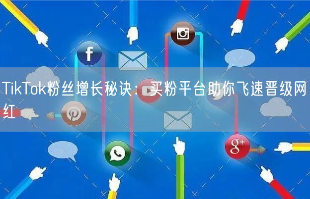 TikTok粉丝增长秘诀：买粉平台助你飞速晋级网红