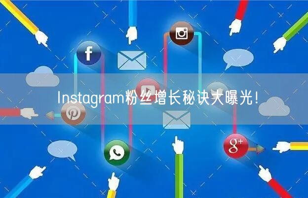 Instagram粉丝增长秘诀大曝光！