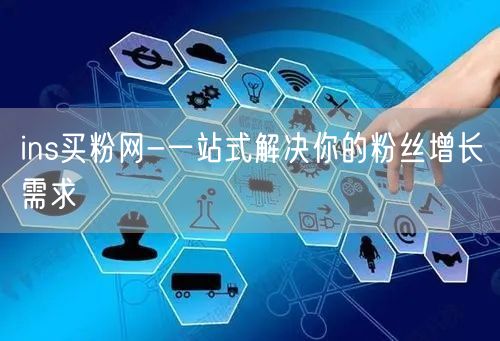 ins买粉网-一站式解决你的粉丝增长需求