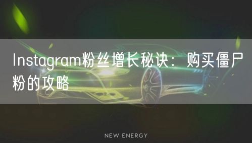 Instagram粉丝增长秘诀：购买僵尸粉的攻略