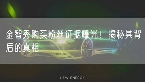 金智秀购买粉丝证据曝光！揭秘其背后的真相