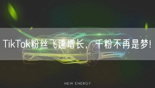 TikTok粉丝飞速增长，千粉不再是梦!