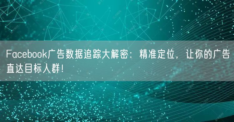 Facebook广告数据追踪大解密：精准定位，让你的广告直达目标人群！