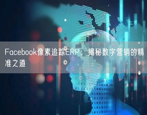 Facebook像素追踪ERP：揭秘数字营销的精准之道