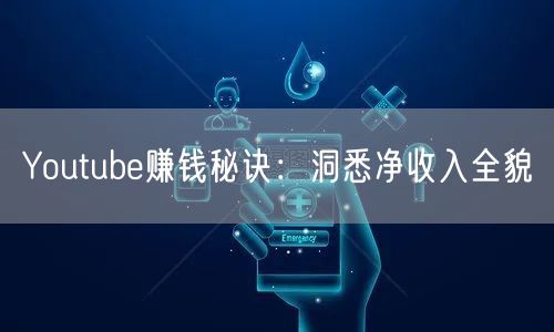 Youtube赚钱秘诀：洞悉净收入全貌