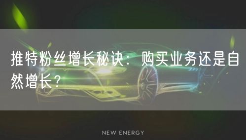 推特粉丝增长秘诀：购买业务还是自然增长？