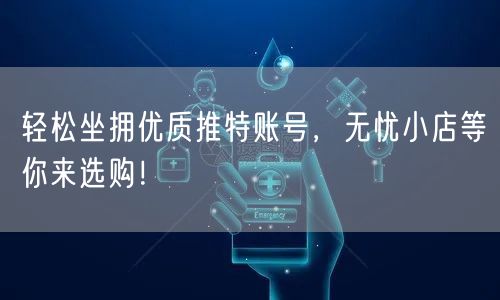 轻松坐拥优质推特账号，无忧小店等你来选购！