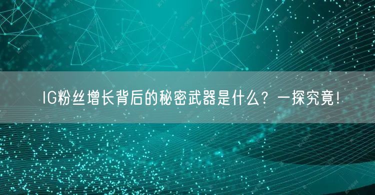IG粉丝增长背后的秘密武器是什么？一探究竟！